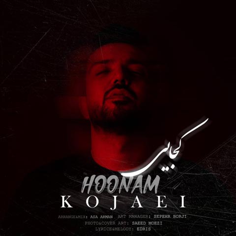 دانلود آهنگ هونام کجایی